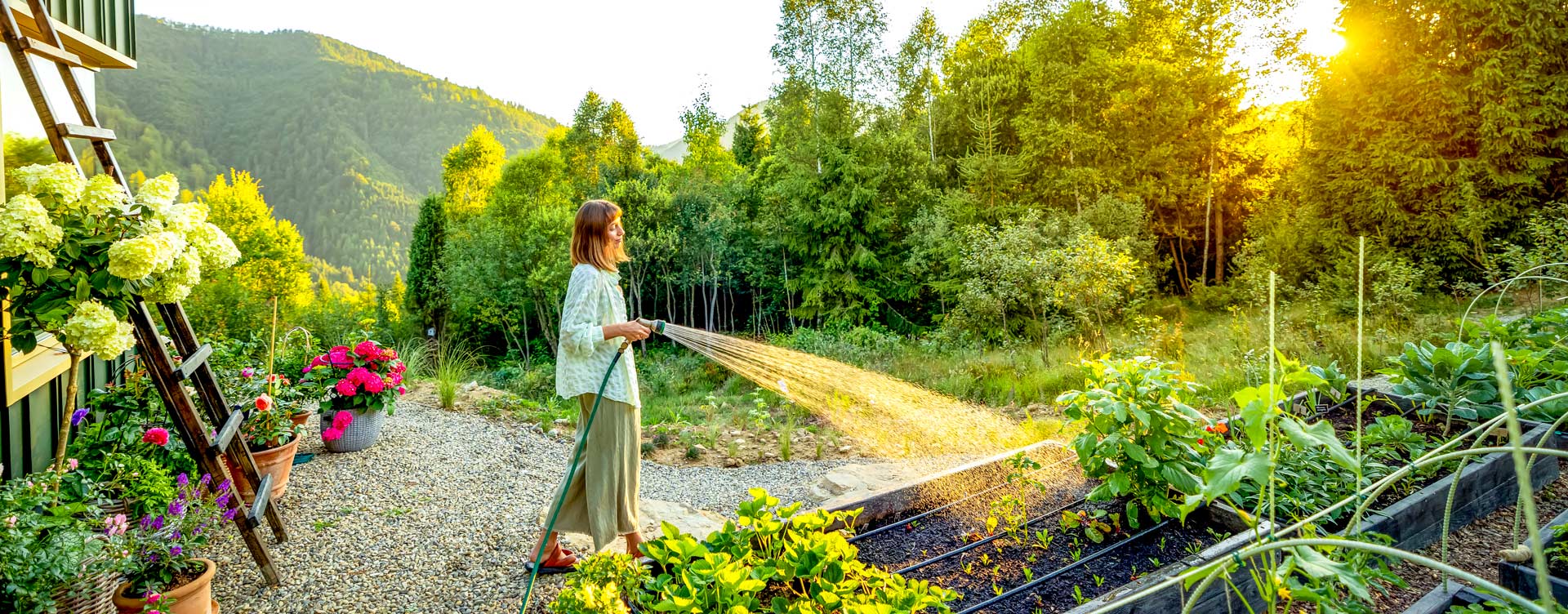 slide-woman-waters-garden-in-rural-mountain-setting-2026-03-24-04-20-33-utc-Edit Atmospheric Water Generator